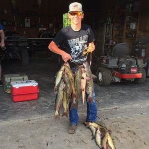 Meet your Posher, Jerry